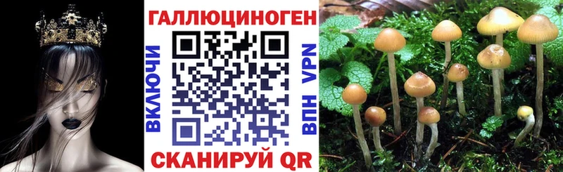 Псилоцибиновые грибы Psilocybe  наркотики  Арск 